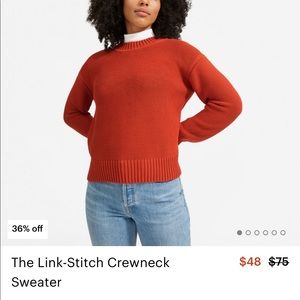 Everlane Link Stitch Crewneck (Rust)